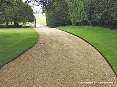 a path in the middle of a lush green park