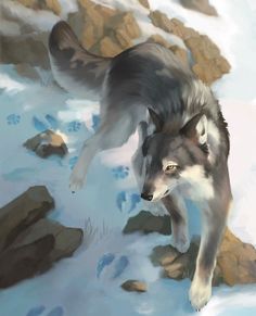 a painting of a wolf running in the snow with rocks and grass behind his back