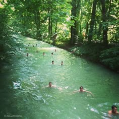 several people swimming in a river surrounded by trees and greenery on either side of the stream