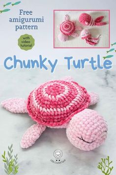 a crocheted turtle is shown on the cover of this book, which features instructions to make it