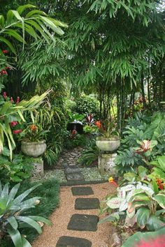 a garden with lots of plants and trees