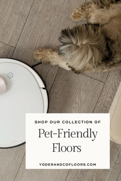 a dog laying on the floor next to a robotic vacuum and a white sign that says shop our collection of pet - friendly floors