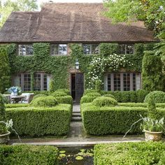 a house covered in lots of green plants and bushes next to a small water pond