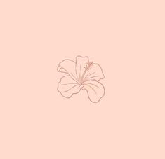 a pink flower is shown on a light pink background with the word love written below it