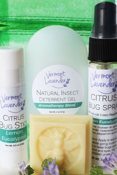 the contents of a natural insect repellent set including soap, deodorant and lip balm