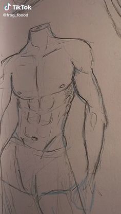 a drawing of a man's torso is shown