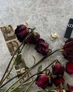 flowers, money and ring laying on the ground