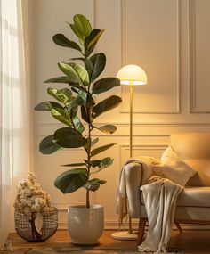 a living room with a couch, lamp and potted plant in the corner on the floor