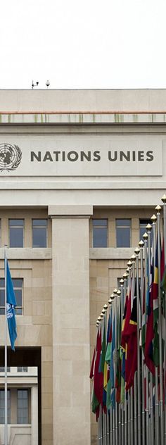 flags are lined up in front of the nations united building