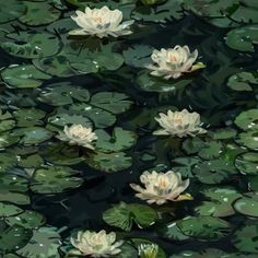 white water lilies floating on top of green leaves