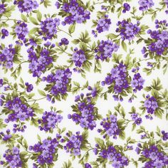 purple flowers on white background with green leaves