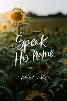 a sunflower with the words speak his name placed on it in front of a field of sunflowers