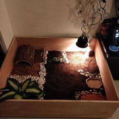 a wooden box with rocks and plants in it on a table next to a lamp