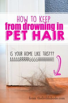 how to keep from browning in pet hair is your home like this? 1 - 2