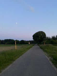 an empty road in the middle of a field