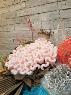 three different types of corals on display in front of a brick wall with red and white flowers