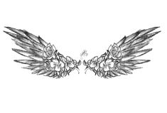 two wings with flowers on them are drawn in black and white ink by artist mark taylor