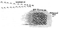 the diagram shows how many different types of plants are growing