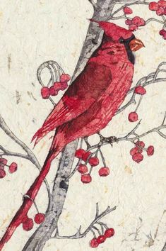 a red bird sitting on top of a tree branch with berries in it's branches