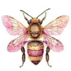 a drawing of a bee with wings on it's back and two antennaes on its