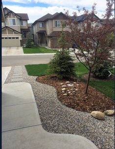 this is a photo of a front yard with landscaping in the foreground and houses in the background