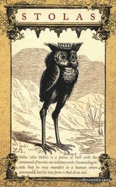 an old book cover with an owl on it's head and the title stolaas