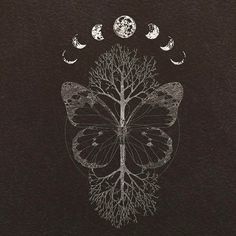 a drawing of a butterfly with trees and moon phases in the background, on black paper