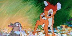 the fox and the hound from disney's animated film, thumpp - o - wee