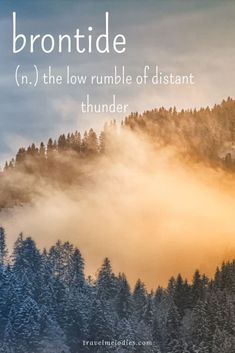 a mountain covered in fog and trees with the words brontode n, the low rumble of distant thunder