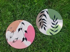 two plates sitting on top of a lush green grass covered field next to each other