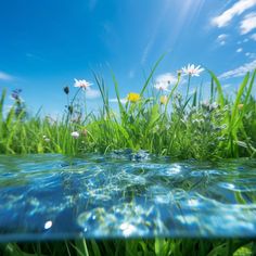 some water and grass under a blue sky