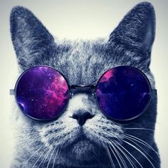 a cat wearing sunglasses with the reflection of space in it's eyes