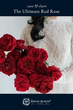 the ultimate guide to red roses