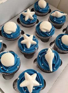 cupcakes decorated in blue and white with seashells