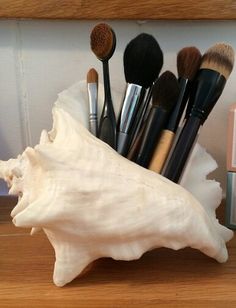 a shell filled with makeup brushes on top of a wooden table