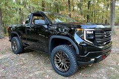 a black truck is parked in the woods