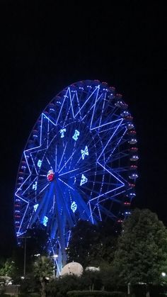 a ferris wheel lit up at night with trees in the foreground and dark sky