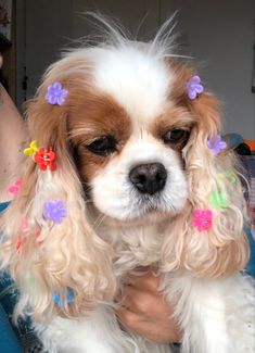 a small white and brown dog with flowers in its hair