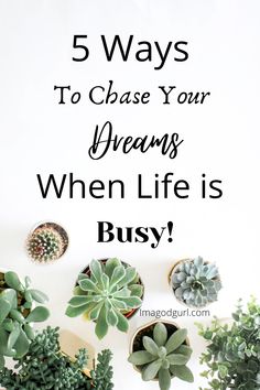 plants and succulents with the words 5 ways to chase your dreams when life is busy