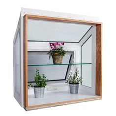 two potted plants are in a glass case with wood trim around the bottom shelf