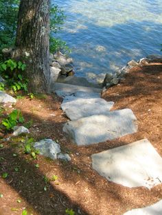 steps lead up to the water near a tree and some rocks on the ground in front of a body of water