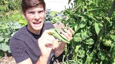 a man in glasses holding up a green plant