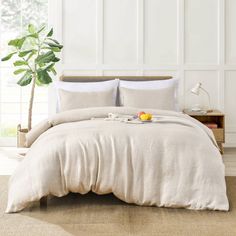 a bed in a room with white walls and a potted plant next to it