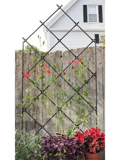 a fence with flowers growing on it next to a house