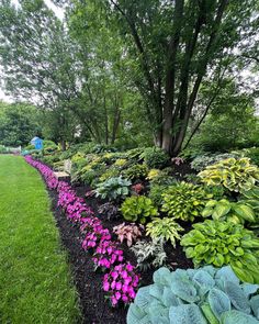 a garden filled with lots of different types of plants and flowers next to a tree