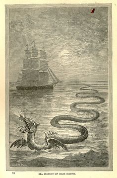 an old illustration of a sea dragon attacking a ship