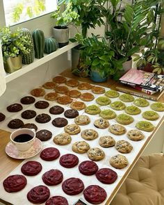 a table topped with lots of cookies next to a potted plant