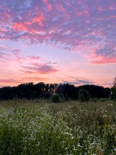 the sky is pink and purple as the sun sets in the distance over a field full of wildflowers