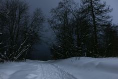 a snow covered path in the woods at night