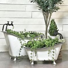 two white tubs filled with plants next to each other